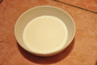 Homemade Counter-top Yogurt - Serving From Home